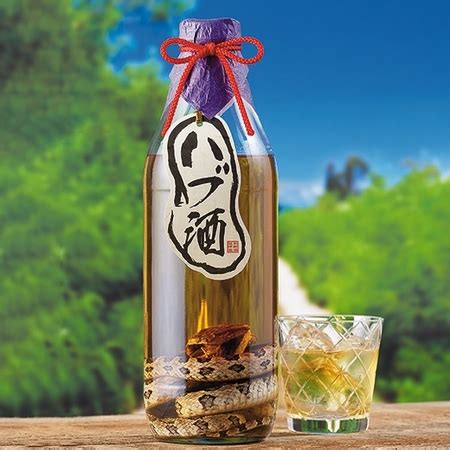 沖縄名物「ハブ酒」の効果は？飲み終わった後のハブ。